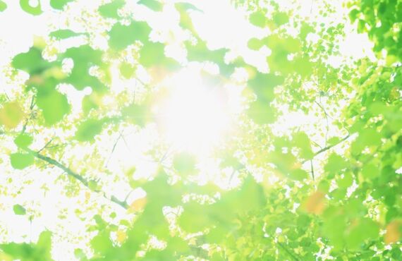 北海道の美味しい詰め合わせ。